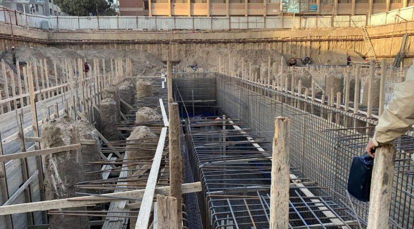 Saraya El Shshyiny work progress