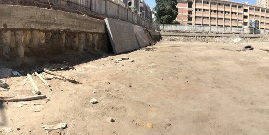 Saraya El Shshyiny work progress
