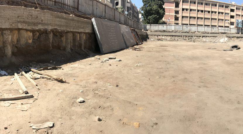 Saraya El Shshyiny work progress