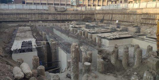 Saraya El Shshyiny work progress