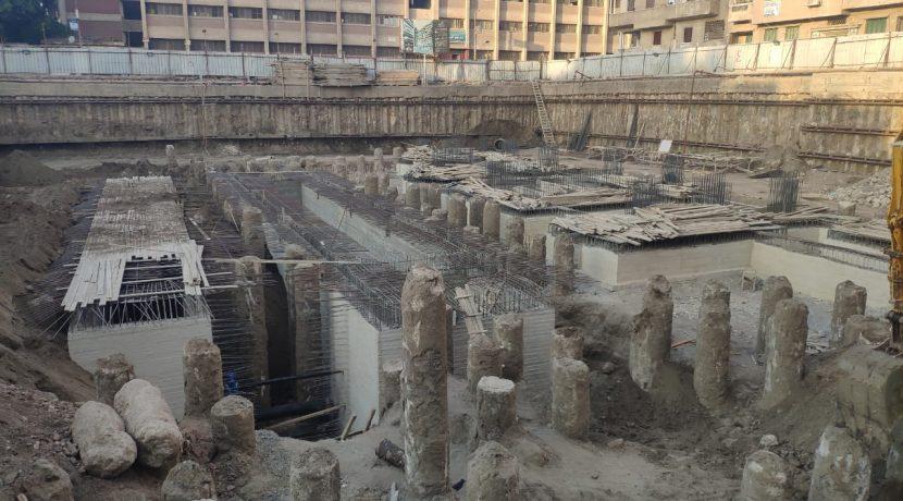 Saraya El Shshyiny work progress