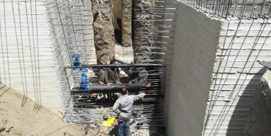Saraya El Shshyiny work progress