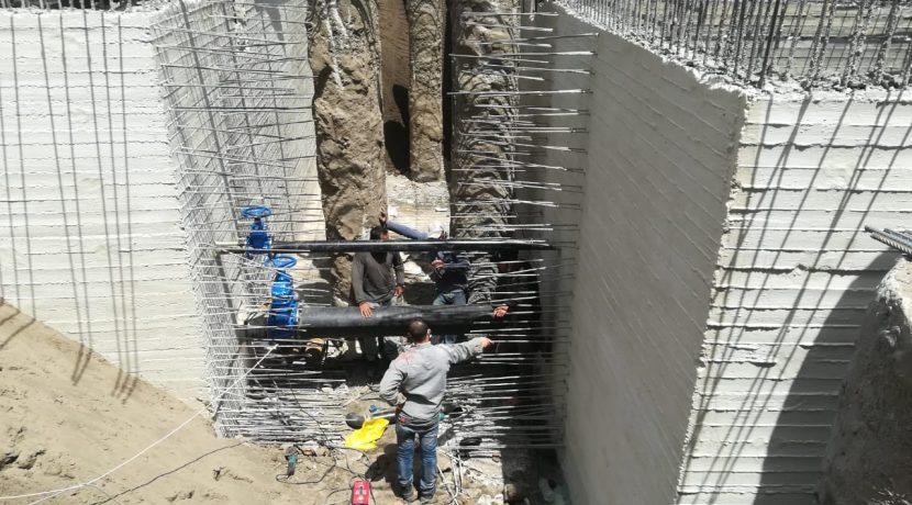 Saraya El Shshyiny work progress
